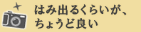 写真からはみ出るくらいが、ちょうど良い